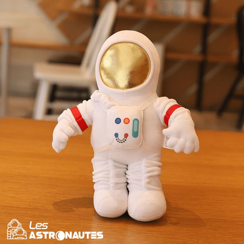 Ensemble D'ours En Peluche Mignon Avec Costume D'astronaute | Vecteur Ensemble D'ours En Peluche Mignon Avec Costume D'astronaute | Vecteur